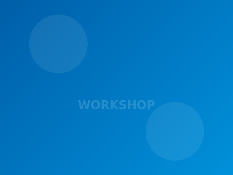Workshop